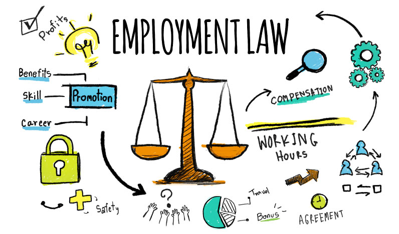 Do Your Employees Know More About Employment Law Than You?